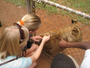We pet a lion and I was licked by a leopard. 